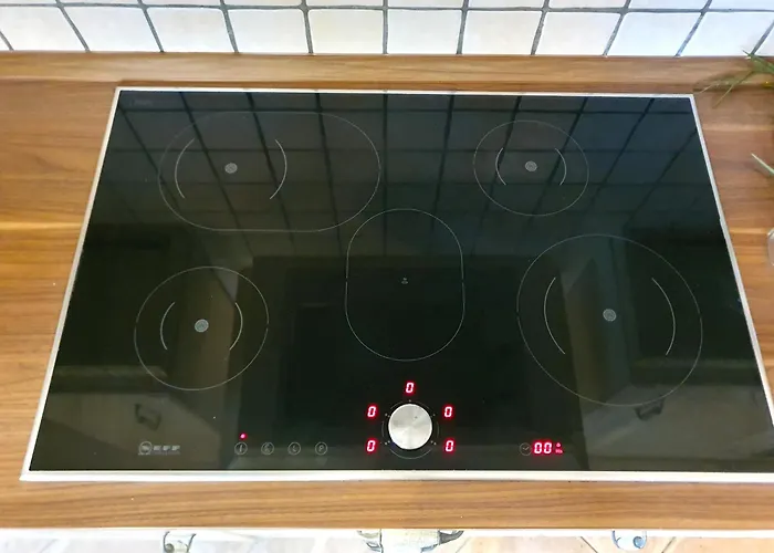 Schnelle Verbindung Nach Frankfurt, Messe Und Flughafen *